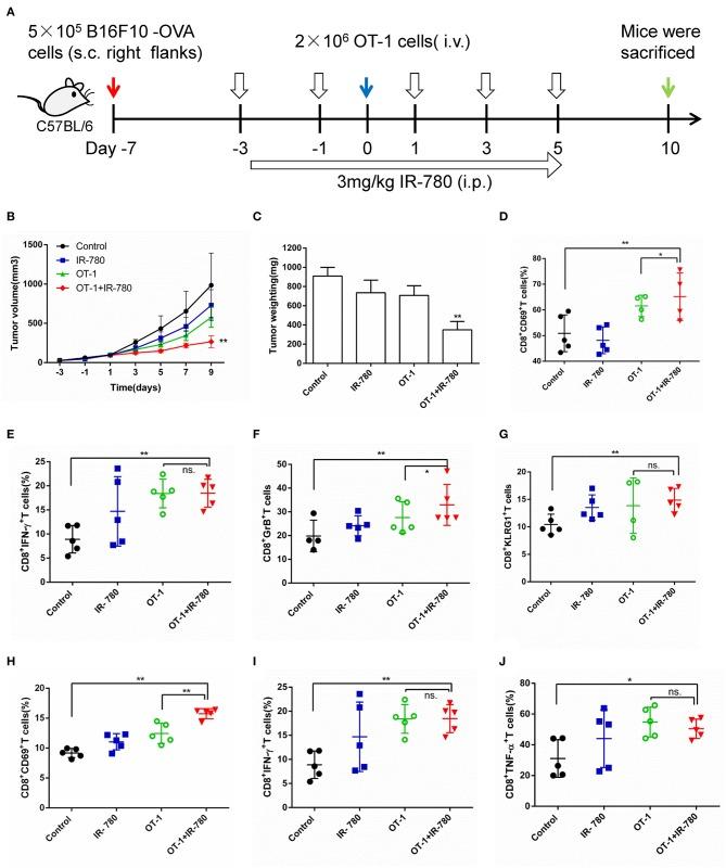 https://cdn.ncbi.nlm.nih.gov/pmc/blobs/78d2/6861368/50c2a2804b01/fonc-09-01196-g0005.jpg