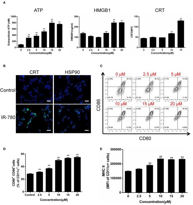 https://cdn.ncbi.nlm.nih.gov/pmc/blobs/78d2/6861368/9f734d057ae5/fonc-09-01196-g0002.jpg