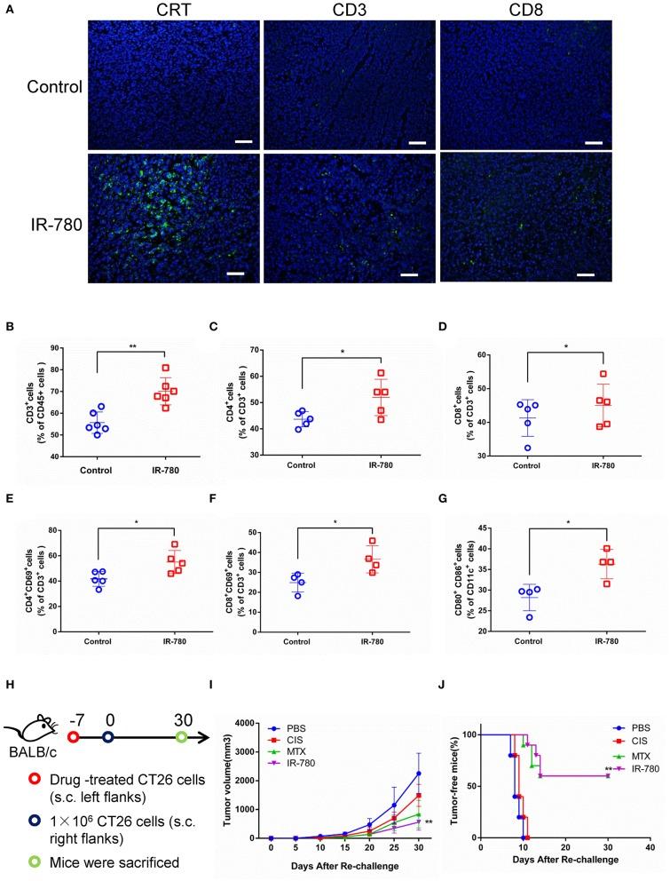 https://cdn.ncbi.nlm.nih.gov/pmc/blobs/78d2/6861368/bebf326c2c39/fonc-09-01196-g0003.jpg