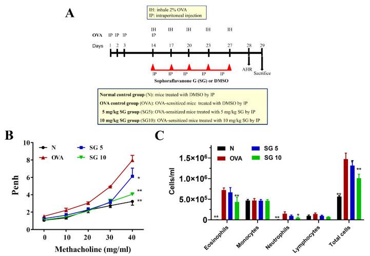 https://cdn.ncbi.nlm.nih.gov/pmc/blobs/78d2/9181790/6866ae66ba5f/ijms-23-06104-g001.jpg