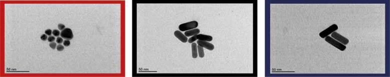 https://cdn.ncbi.nlm.nih.gov/pmc/blobs/78d4/11809566/5096d39b1783/WO-28-55553-g003.jpg