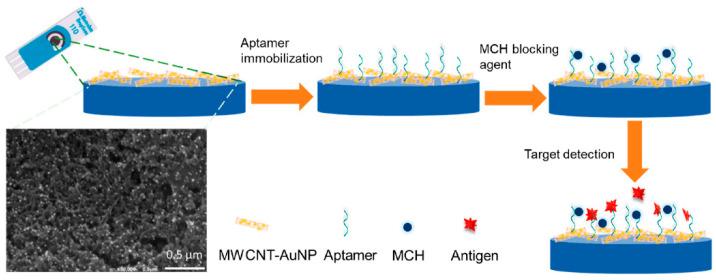 https://cdn.ncbi.nlm.nih.gov/pmc/blobs/78d4/9776393/9eabb045beb7/biosensors-12-01130-g001.jpg
