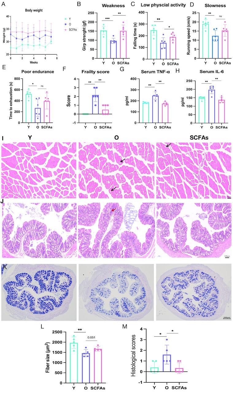 https://cdn.ncbi.nlm.nih.gov/pmc/blobs/78d5/11964440/5ce798a0899b/AD-16-2-1180-g7.jpg
