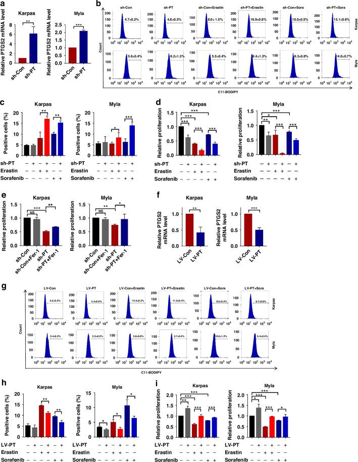 https://cdn.ncbi.nlm.nih.gov/pmc/blobs/78d6/11833084/5cdc7de22875/41416_2024_2919_Fig5_HTML.jpg