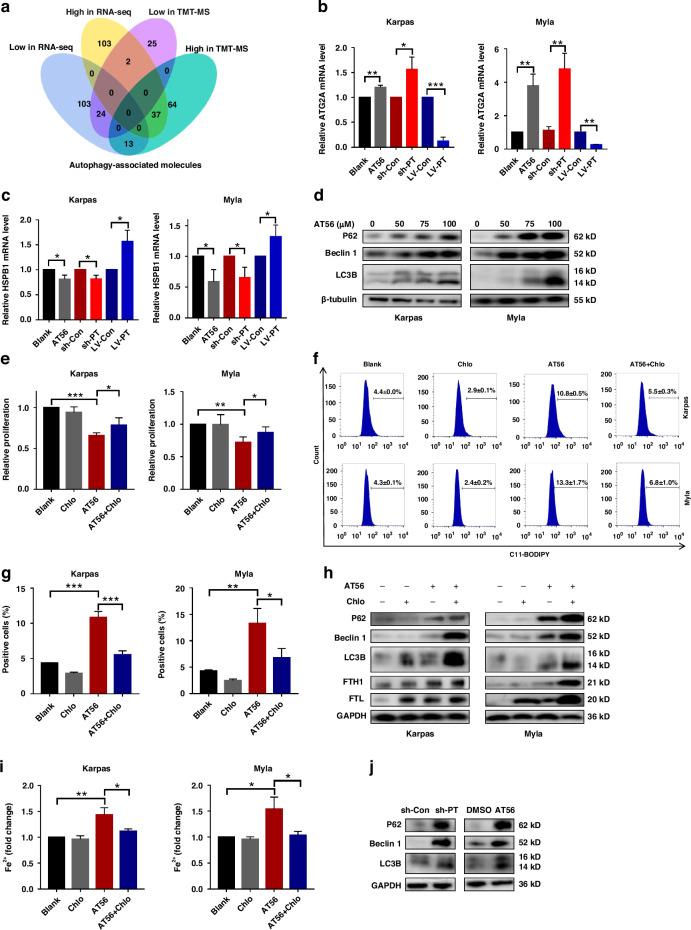 https://cdn.ncbi.nlm.nih.gov/pmc/blobs/78d6/11833084/7c338ac23178/41416_2024_2919_Fig7_HTML.jpg