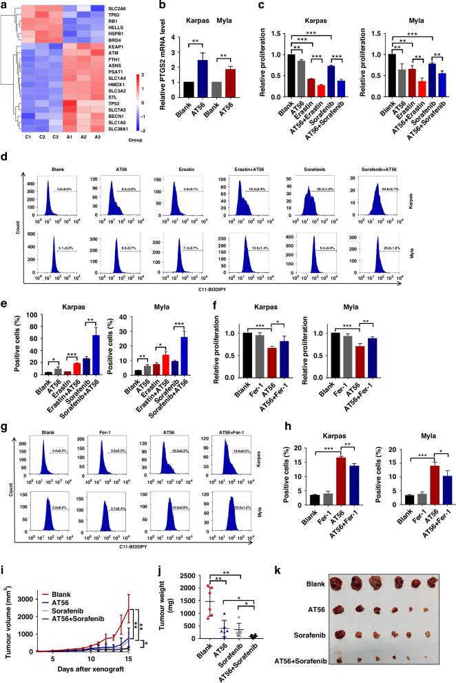 https://cdn.ncbi.nlm.nih.gov/pmc/blobs/78d6/11833084/8f7502ac372d/41416_2024_2919_Fig4_HTML.jpg