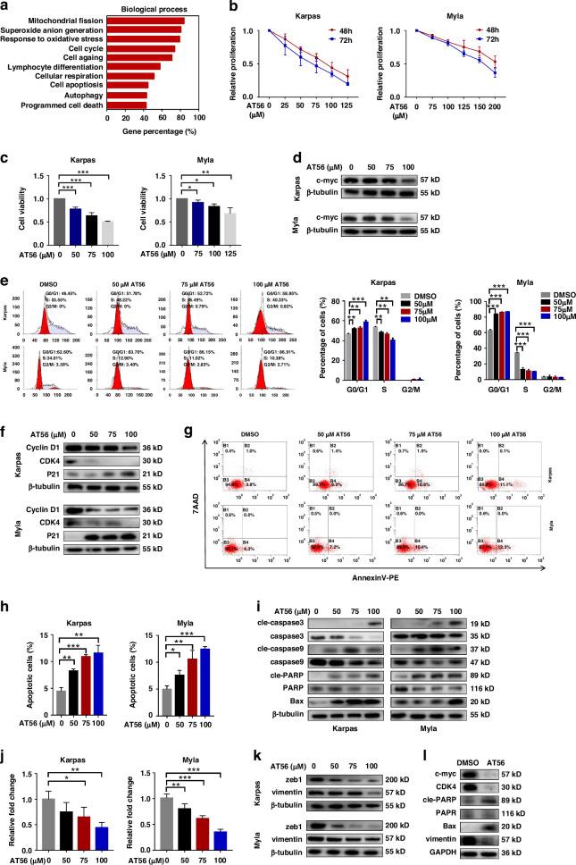 https://cdn.ncbi.nlm.nih.gov/pmc/blobs/78d6/11833084/c68979e45a5e/41416_2024_2919_Fig3_HTML.jpg