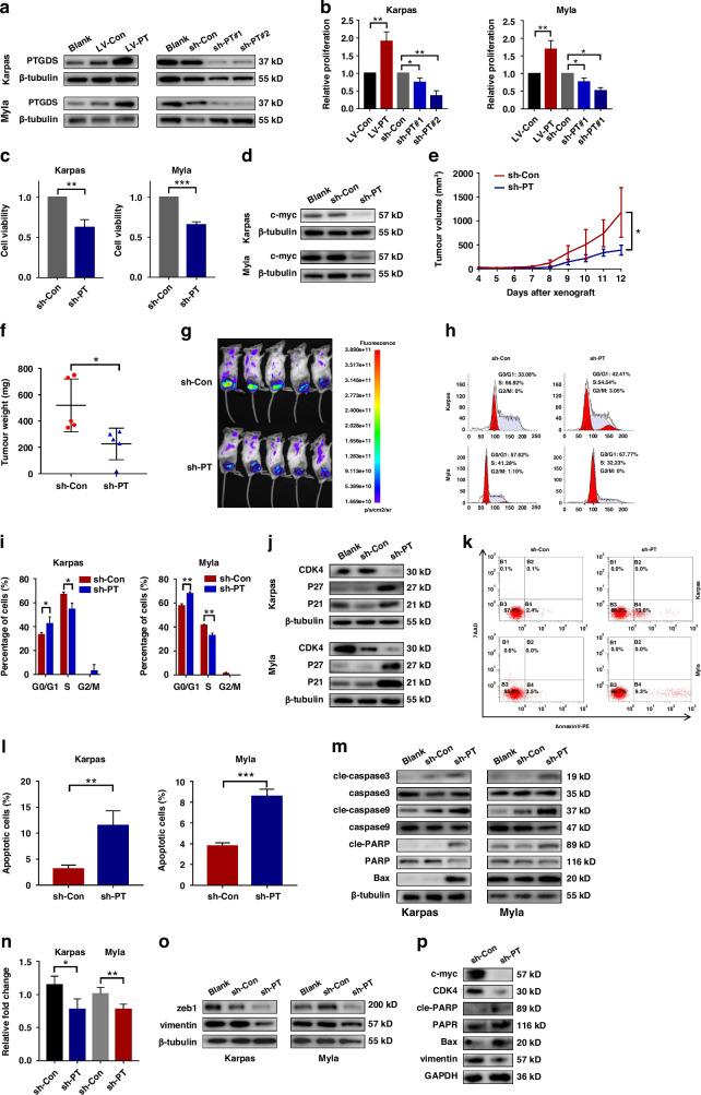 https://cdn.ncbi.nlm.nih.gov/pmc/blobs/78d6/11833084/ca628d7c1326/41416_2024_2919_Fig2_HTML.jpg