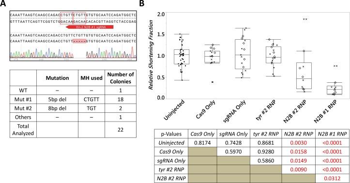 https://cdn.ncbi.nlm.nih.gov/pmc/blobs/78d7/6152997/d32c2e68829e/pgen.1007652.g005.jpg