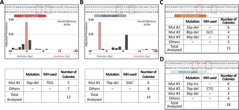 https://cdn.ncbi.nlm.nih.gov/pmc/blobs/78d7/6152997/de5e4a1af950/pgen.1007652.g008.jpg
