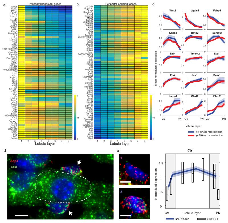 https://cdn.ncbi.nlm.nih.gov/pmc/blobs/78d7/6546596/2ef7a5774b20/EMS78711-f006.jpg