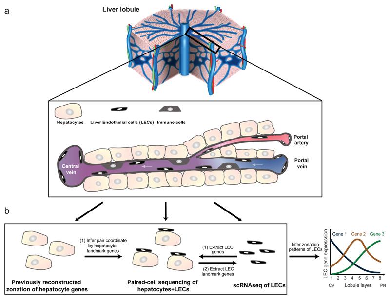 https://cdn.ncbi.nlm.nih.gov/pmc/blobs/78d7/6546596/aebfbe07599e/EMS78711-f001.jpg