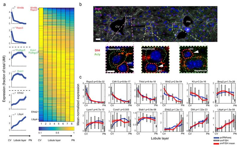 https://cdn.ncbi.nlm.nih.gov/pmc/blobs/78d7/6546596/b041b7fc4e13/EMS78711-f004.jpg
