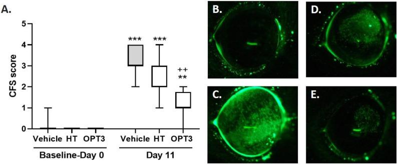 https://cdn.ncbi.nlm.nih.gov/pmc/blobs/78d7/9409789/c9ef453f7e68/jcm-11-04703-g002.jpg