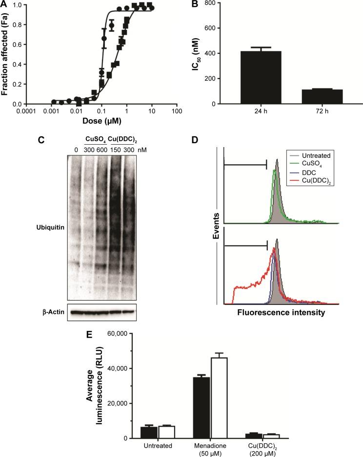 https://cdn.ncbi.nlm.nih.gov/pmc/blobs/78da/5459956/33beed353bca/ijn-12-4129Fig2.jpg