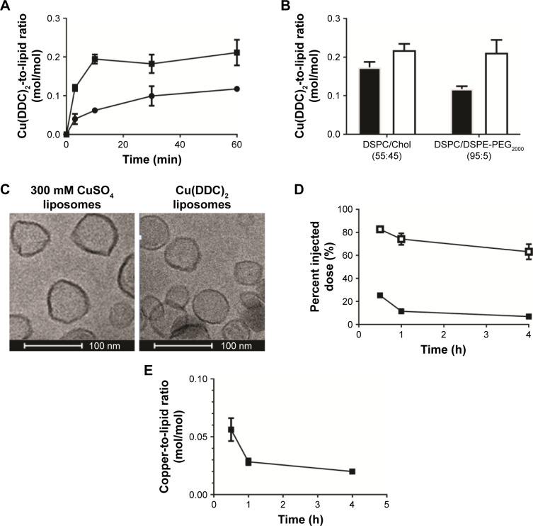 https://cdn.ncbi.nlm.nih.gov/pmc/blobs/78da/5459956/a7cb2ec68fec/ijn-12-4129Fig7.jpg