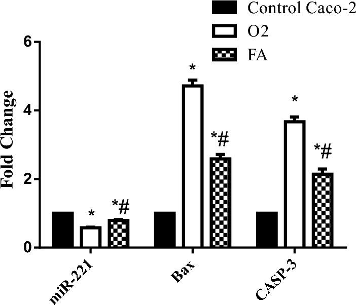 https://cdn.ncbi.nlm.nih.gov/pmc/blobs/78db/10808409/49d7826e1b3b/41598_2024_52143_Fig7_HTML.jpg