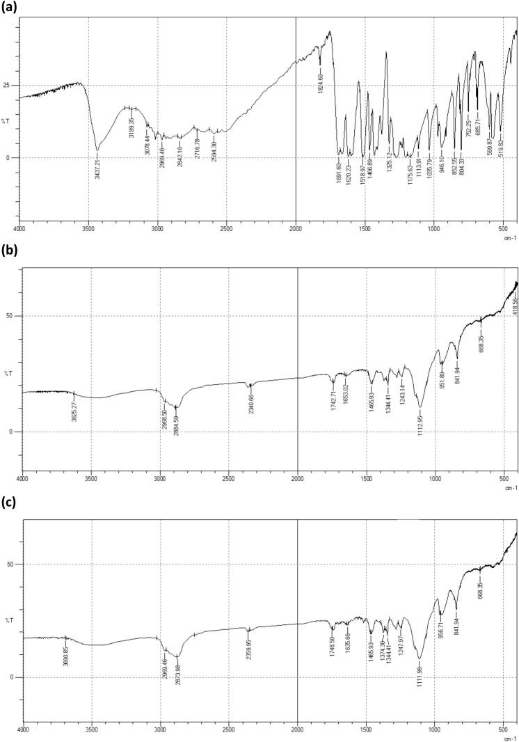 https://cdn.ncbi.nlm.nih.gov/pmc/blobs/78db/10808409/f5ec84ecdcb2/41598_2024_52143_Fig3_HTML.jpg