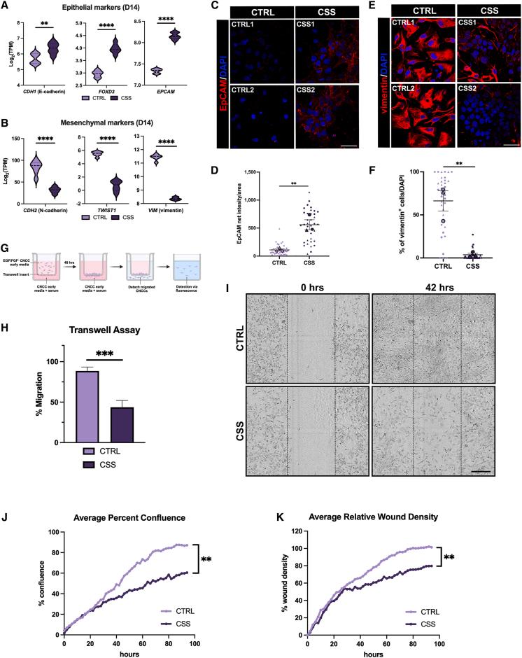 https://cdn.ncbi.nlm.nih.gov/pmc/blobs/78db/11480806/6e1c02cb65f8/gr3.jpg