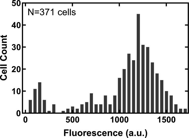 https://cdn.ncbi.nlm.nih.gov/pmc/blobs/78dc/12226021/31110bc22175/elife-99752-fig1-figsupp5.jpg