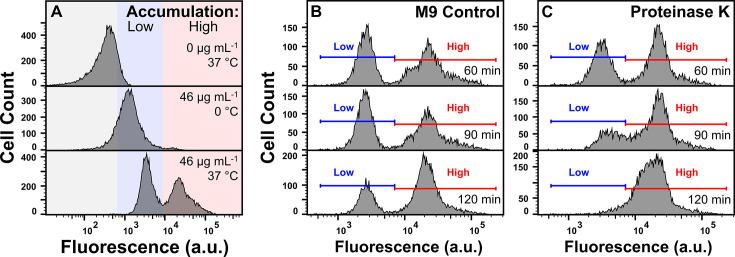 https://cdn.ncbi.nlm.nih.gov/pmc/blobs/78dc/12226021/bb43180c4d21/elife-99752-fig1-figsupp4.jpg