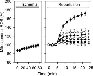 https://cdn.ncbi.nlm.nih.gov/pmc/blobs/78dc/3822958/0918c9614bf8/jcmm0015-2478-f6.jpg