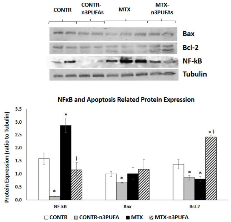 https://cdn.ncbi.nlm.nih.gov/pmc/blobs/78dc/8000946/2d8490553f43/nutrients-13-00888-g006.jpg