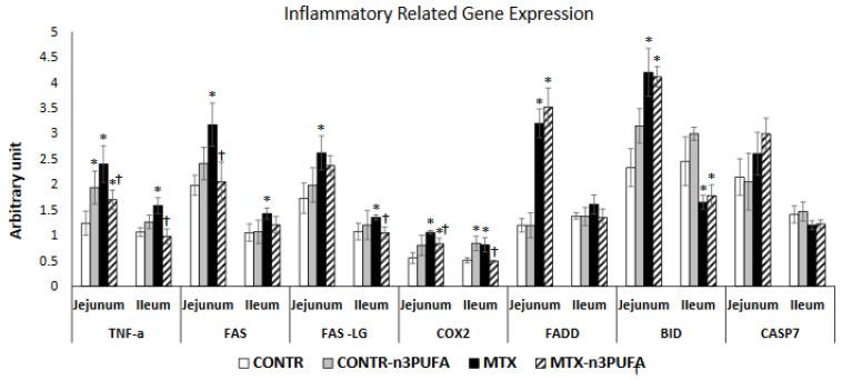 https://cdn.ncbi.nlm.nih.gov/pmc/blobs/78dc/8000946/fd4335fee7f2/nutrients-13-00888-g002.jpg