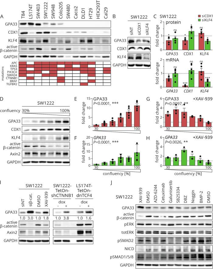 https://cdn.ncbi.nlm.nih.gov/pmc/blobs/78dd/11700846/28ff6054ee3e/41388_2024_3200_Fig2_HTML.jpg