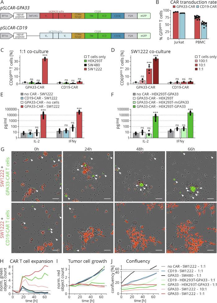 https://cdn.ncbi.nlm.nih.gov/pmc/blobs/78dd/11700846/78b2d60880d3/41388_2024_3200_Fig4_HTML.jpg