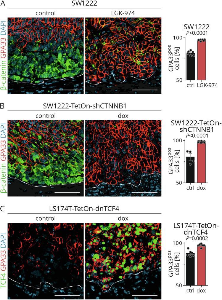 https://cdn.ncbi.nlm.nih.gov/pmc/blobs/78dd/11700846/f8e7dee37f48/41388_2024_3200_Fig3_HTML.jpg
