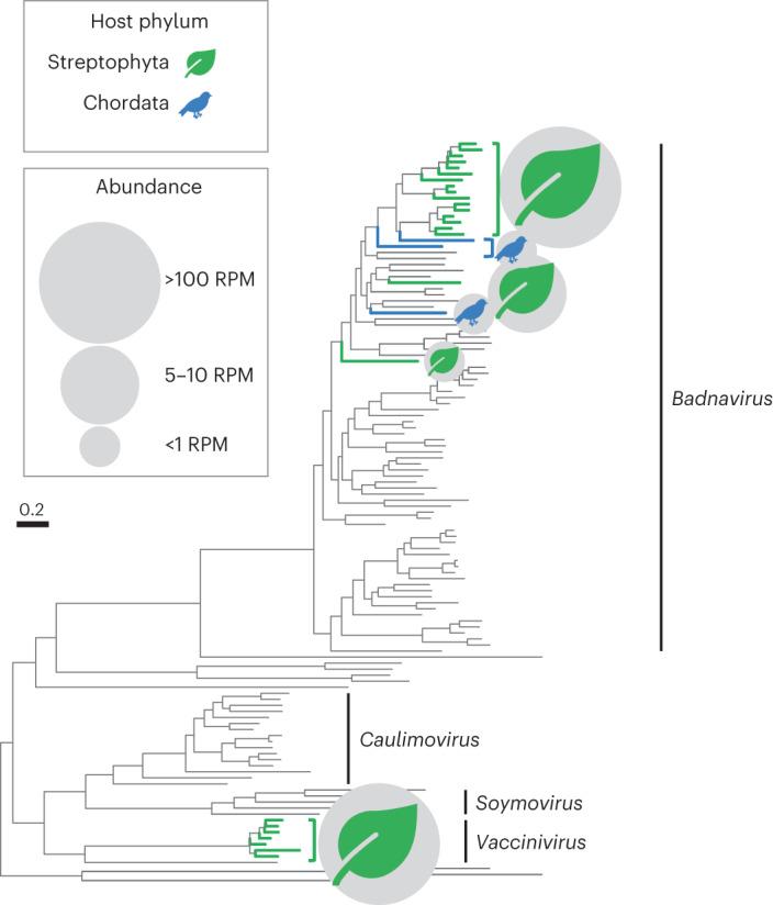 https://cdn.ncbi.nlm.nih.gov/pmc/blobs/78df/10627826/5985441320cd/41559_2023_2192_Fig6_HTML.jpg