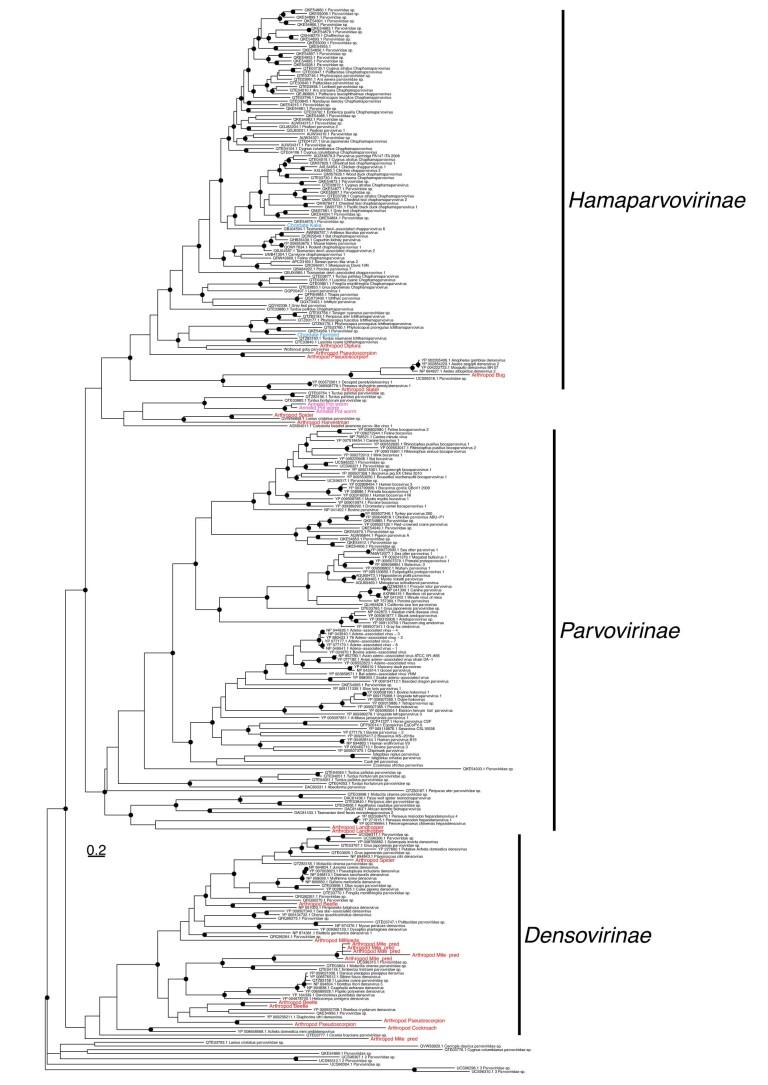 https://cdn.ncbi.nlm.nih.gov/pmc/blobs/78df/10627826/8c0bb7934fb7/41559_2023_2192_Fig8_ESM.jpg