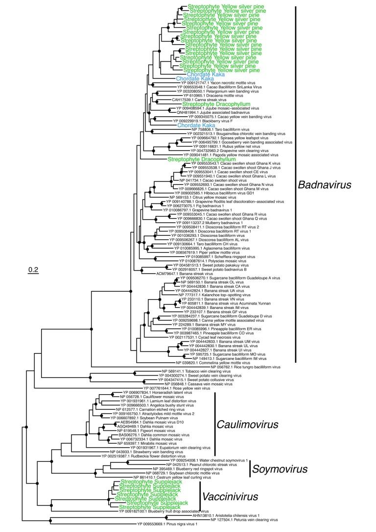 https://cdn.ncbi.nlm.nih.gov/pmc/blobs/78df/10627826/e85c17b9681a/41559_2023_2192_Fig9_ESM.jpg