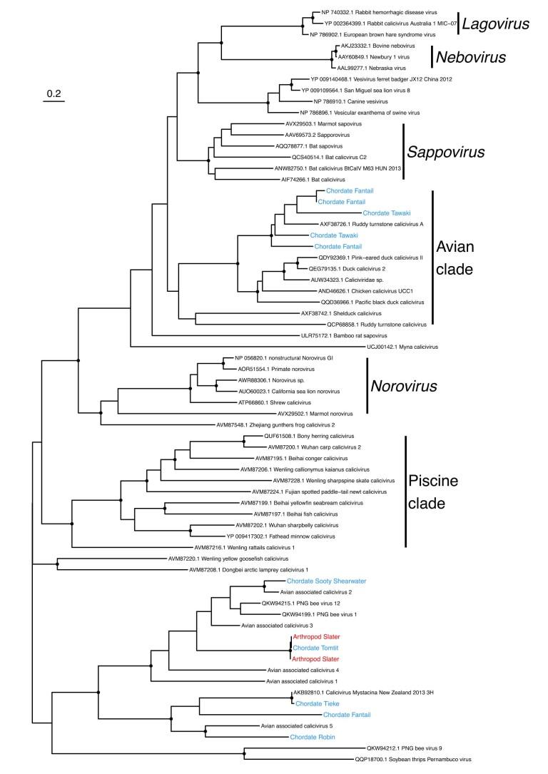 https://cdn.ncbi.nlm.nih.gov/pmc/blobs/78df/10627826/fb46791927c1/41559_2023_2192_Fig11_ESM.jpg