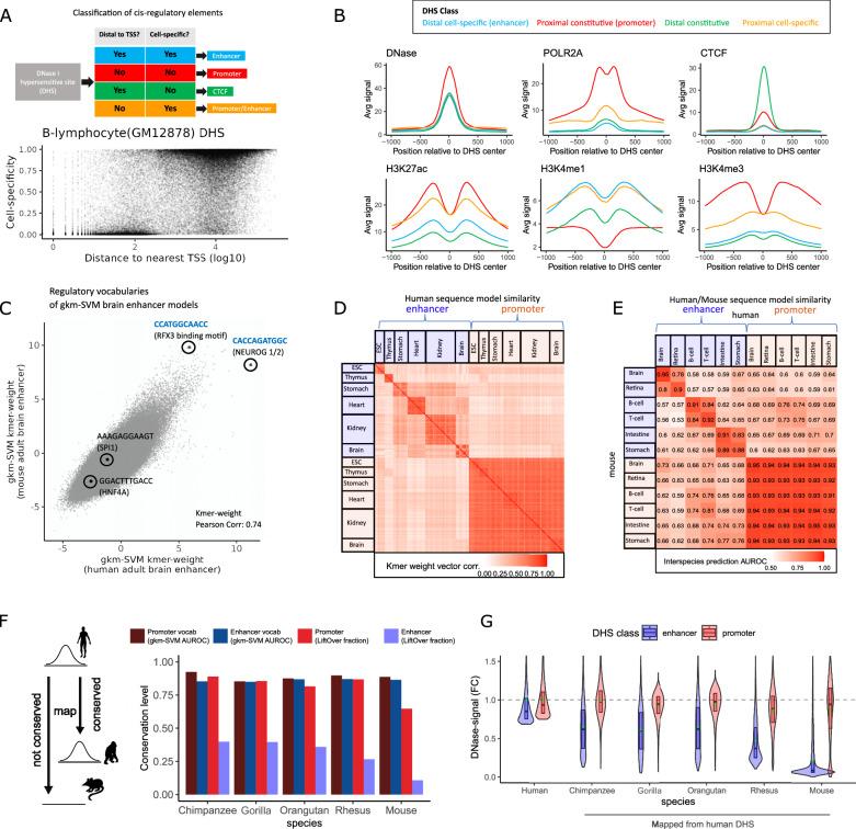 https://cdn.ncbi.nlm.nih.gov/pmc/blobs/78e0/11291912/0ac74d804440/41467_2024_50708_Fig1_HTML.jpg