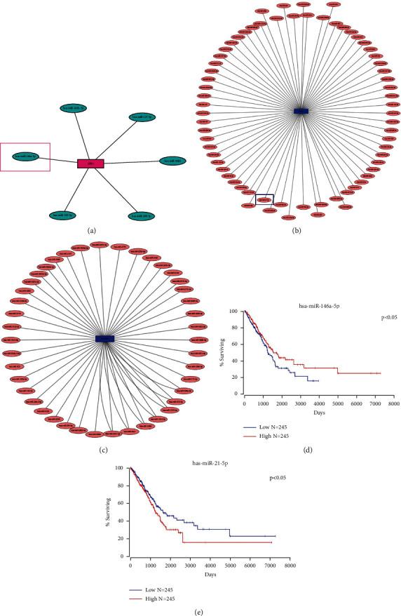 https://cdn.ncbi.nlm.nih.gov/pmc/blobs/78e3/9831708/51780b0b3bcc/GR2023-6782732.008.jpg