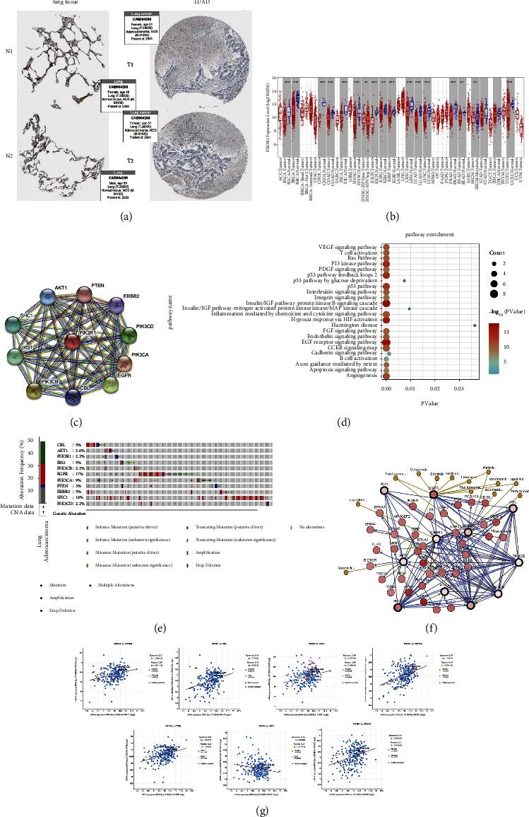 https://cdn.ncbi.nlm.nih.gov/pmc/blobs/78e3/9831708/735d10f298a7/GR2023-6782732.009.jpg