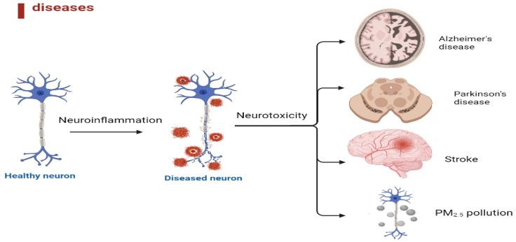 https://cdn.ncbi.nlm.nih.gov/pmc/blobs/78e8/10094159/a359110d7e8d/ijms-24-06328-g001.jpg