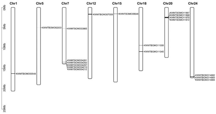 https://cdn.ncbi.nlm.nih.gov/pmc/blobs/78e8/12193018/26acced56bc1/insects-16-00556-g001.jpg