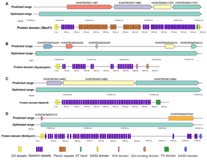 https://cdn.ncbi.nlm.nih.gov/pmc/blobs/78e8/12193018/a9fdcc723cbb/insects-16-00556-g002.jpg
