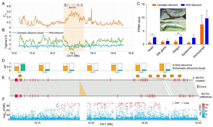 https://cdn.ncbi.nlm.nih.gov/pmc/blobs/78e8/12193018/cae3a543c466/insects-16-00556-g005.jpg