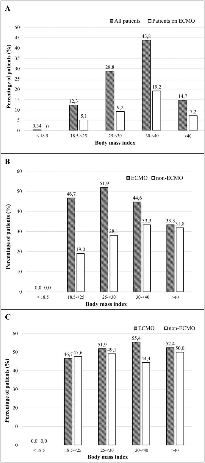 https://cdn.ncbi.nlm.nih.gov/pmc/blobs/78e8/9547545/910e7761fa54/gr3_lrg.jpg
