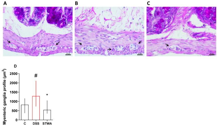 https://cdn.ncbi.nlm.nih.gov/pmc/blobs/78ea/12030512/8d9fe0f2441a/pharmaceuticals-18-00461-g007.jpg