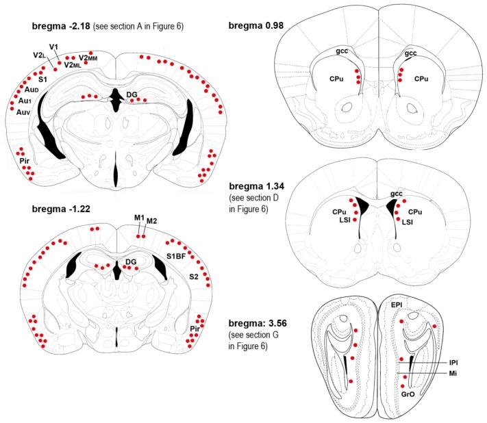 https://cdn.ncbi.nlm.nih.gov/pmc/blobs/78eb/3907886/d7fcaa9e7b2b/ijms-15-01554f1.jpg