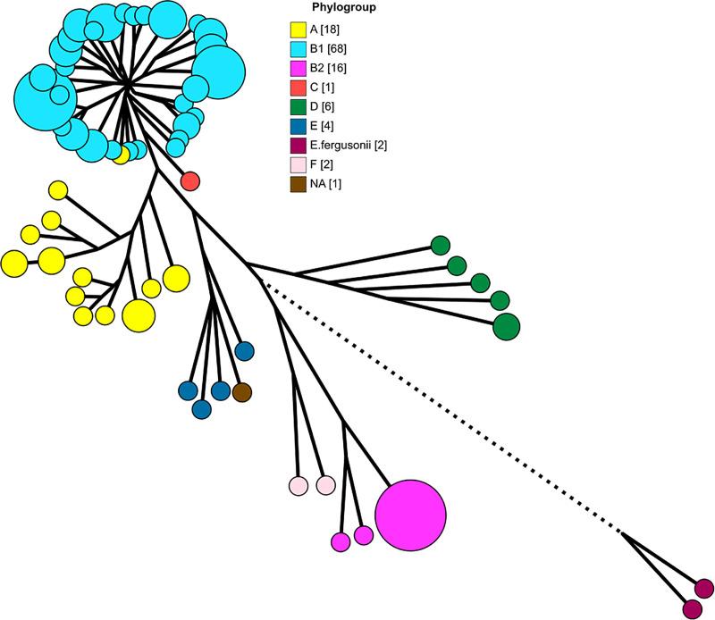 https://cdn.ncbi.nlm.nih.gov/pmc/blobs/78eb/7822521/2a25664fb845/pone.0245910.g002.jpg