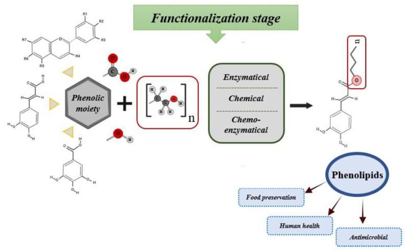 https://cdn.ncbi.nlm.nih.gov/pmc/blobs/78eb/9775470/24b52a172bb1/biomolecules-12-01897-g001.jpg