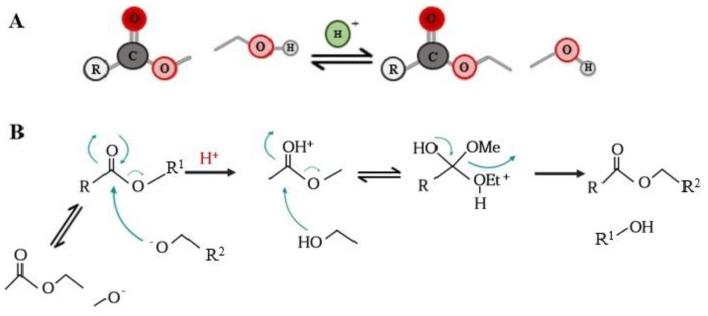 https://cdn.ncbi.nlm.nih.gov/pmc/blobs/78eb/9775470/540f0f5adc73/biomolecules-12-01897-g003.jpg