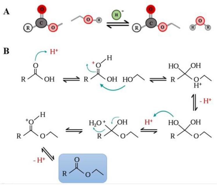 https://cdn.ncbi.nlm.nih.gov/pmc/blobs/78eb/9775470/ec774e3c4f08/biomolecules-12-01897-g002.jpg