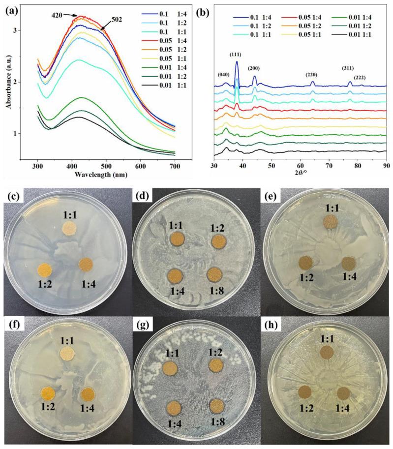 https://cdn.ncbi.nlm.nih.gov/pmc/blobs/78ee/9502192/1aaebb0a12be/polymers-14-03798-g005.jpg